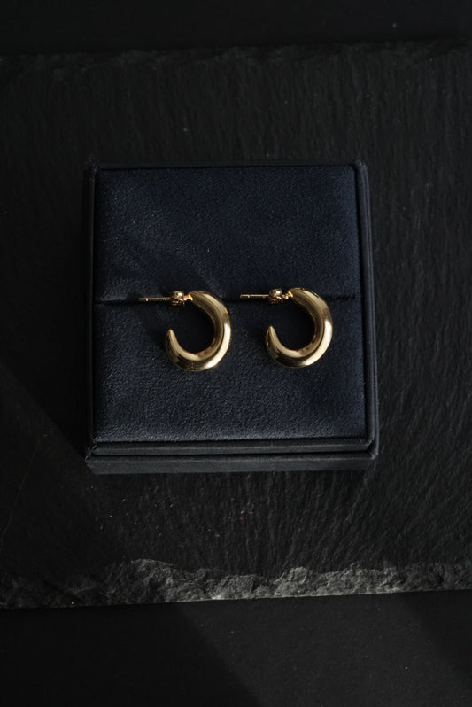 Luna Hoops Earring